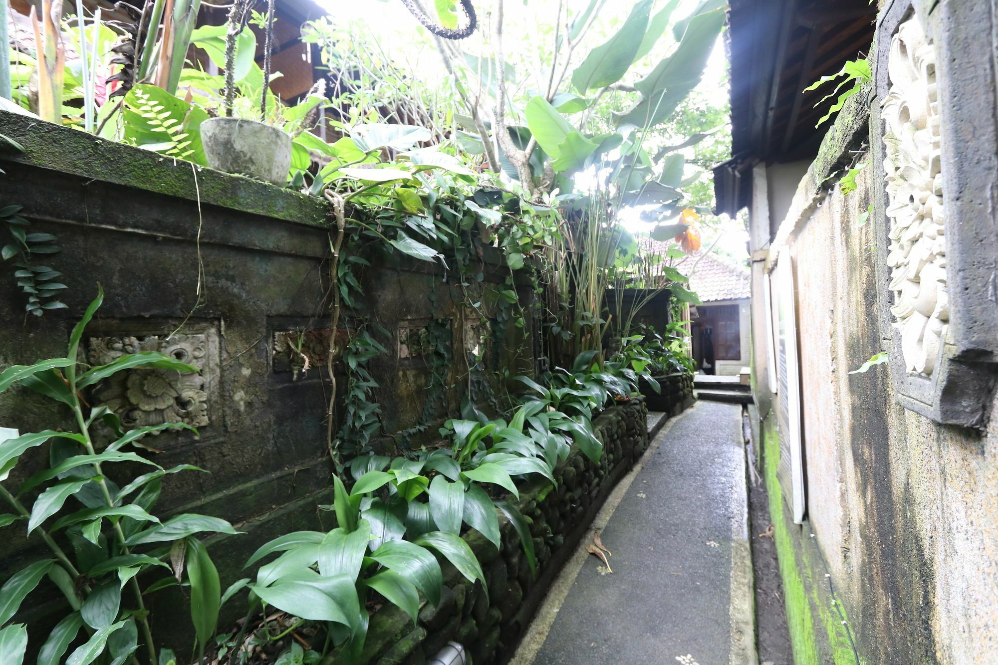 Pondok Permata Homestay Ubud  Ngoại thất bức ảnh