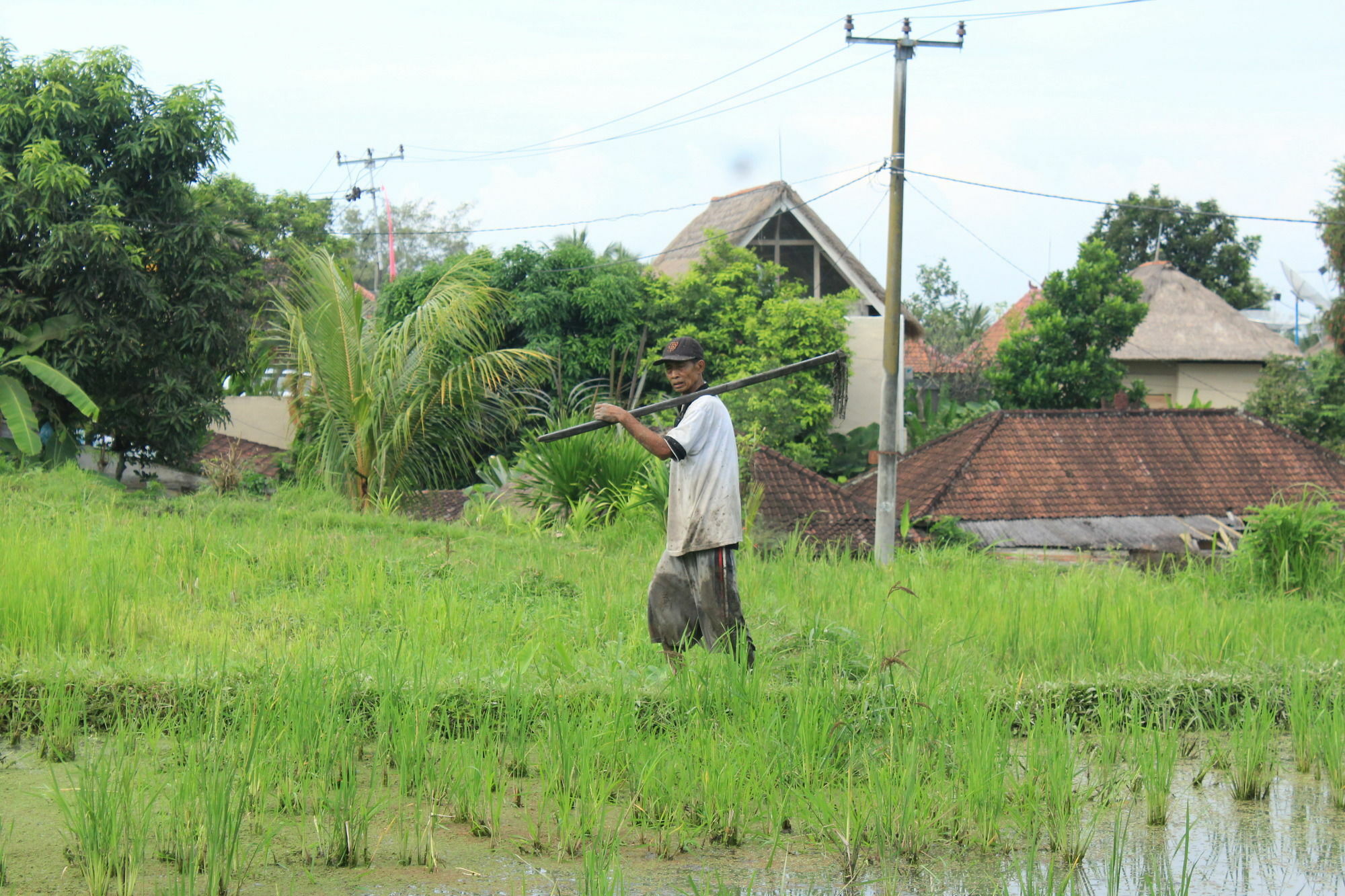Pondok Permata Homestay Ubud  Ngoại thất bức ảnh